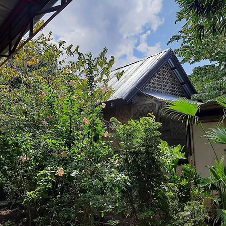 Alimpay Foresters Apartment Panglao Extérieur photo