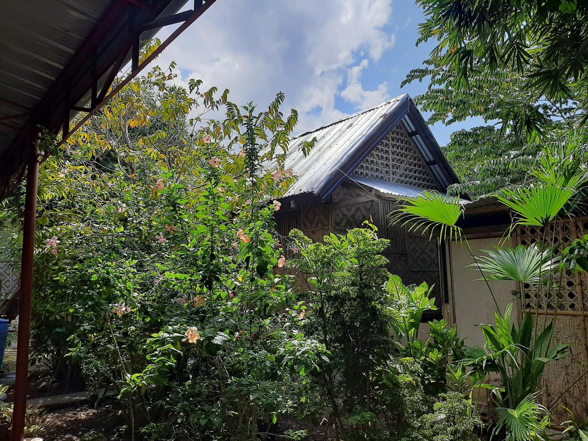 Alimpay Foresters Apartment Panglao Extérieur photo