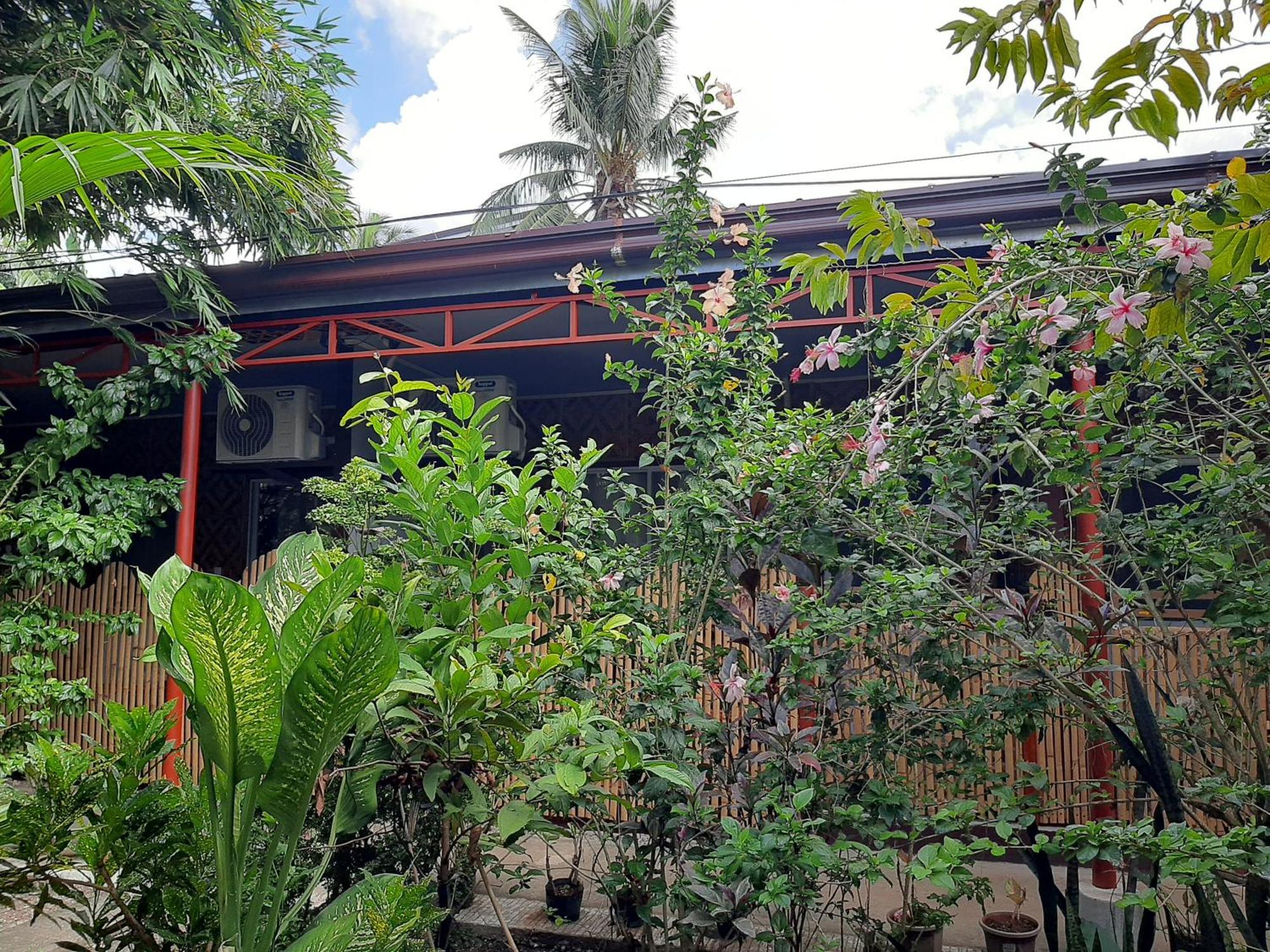 Alimpay Foresters Apartment Panglao Extérieur photo