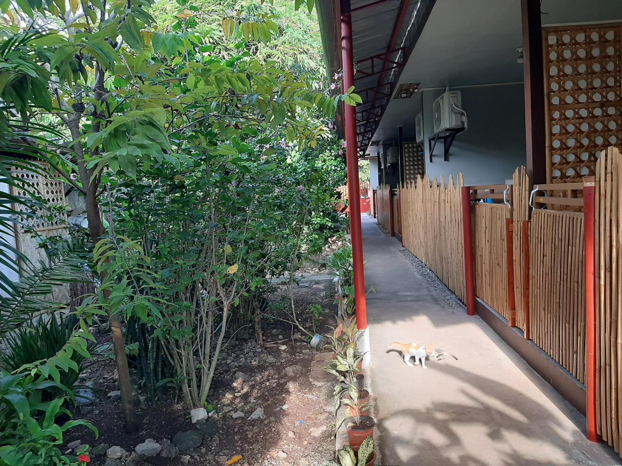 Alimpay Foresters Apartment Panglao Extérieur photo